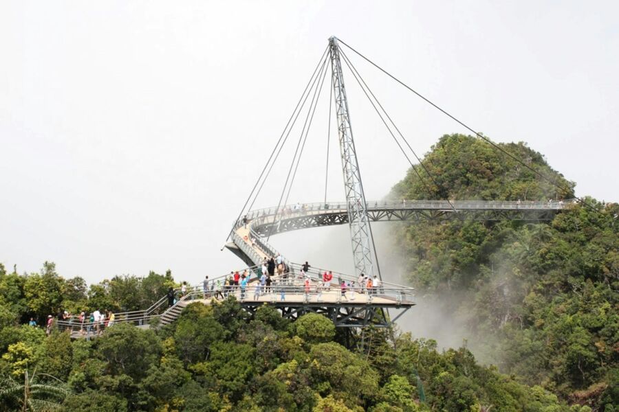 suspension bridge in nature