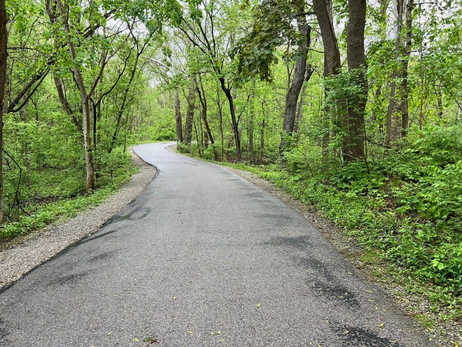 Swan Creek Preserve Metropark