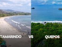 Tamarindo vs Quepos: Key Differences Between Costa Rica's Pacific Beach Destinations