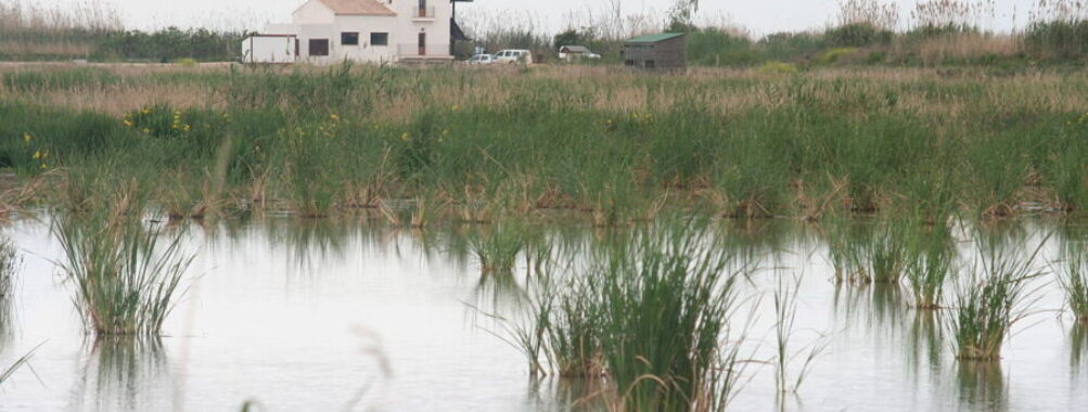 View of Tancat de la Pipa