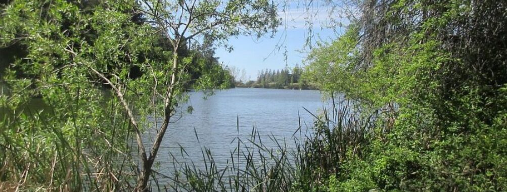 Temescal Regional Recreation Area