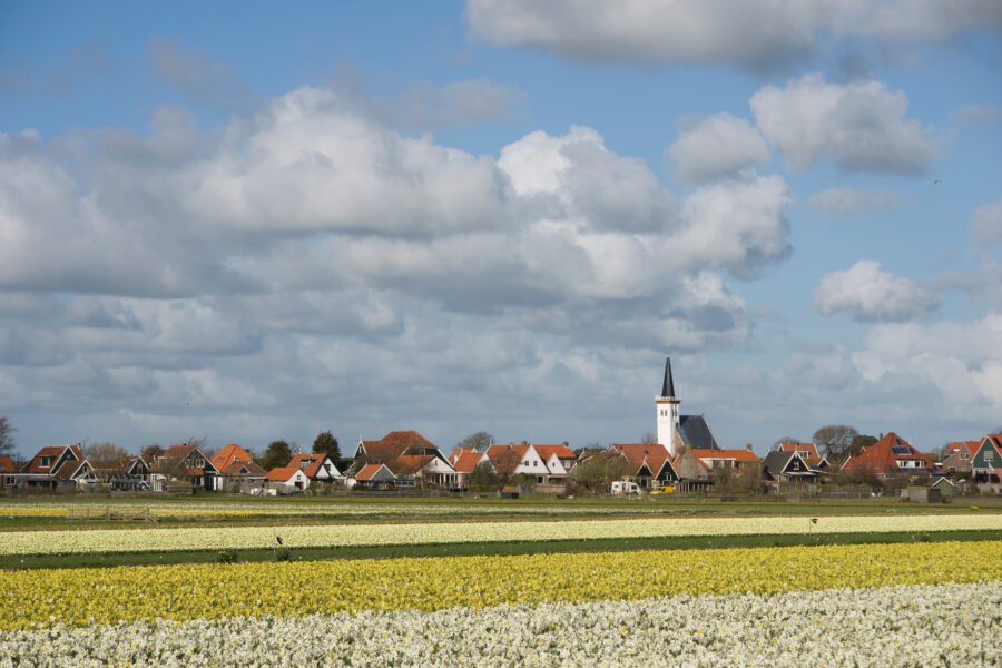 Panoramic view of a village on Texel Island, Netherlands, showcasing traditional houses and lush green landscapes.