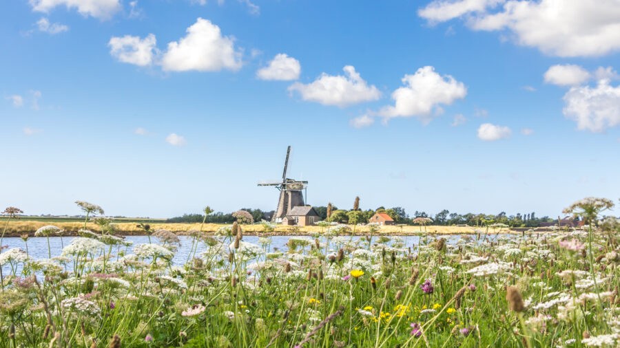 Het Noorden windmill on Texel Island, Netherlands, features traditional Dutch architecture against a scenic landscape.