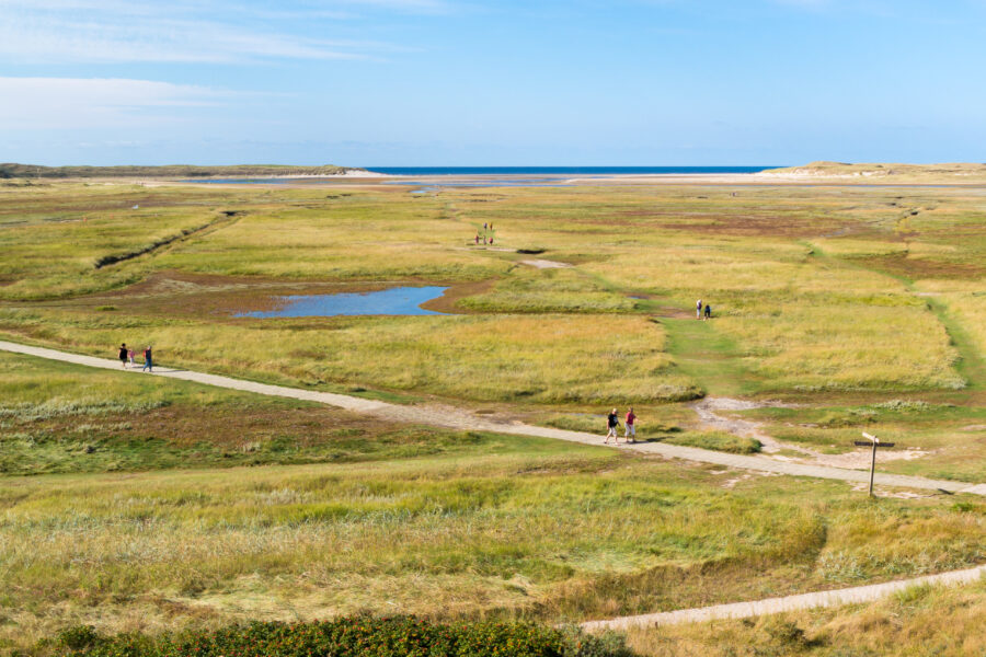Scenic view of Slufter in Texel National Park, featuring dunes and coastal landscapes on Texel Island, Netherlands.