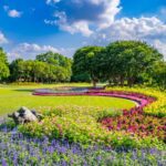 The Dallas Arboretum and Botanical Garden
