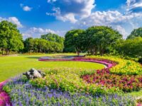 Josson Color Garden In Dallas Arboretum and Botanical Garden