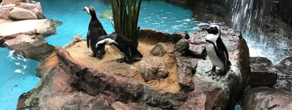 The Dallas World Aquarium