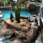 The Dallas World Aquarium