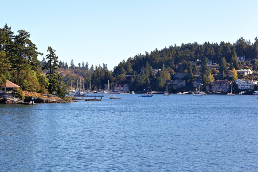 Scenic view of Friday Harbor on San Juan Island, showcasing waterfront buildings and boats in a picturesque setting.