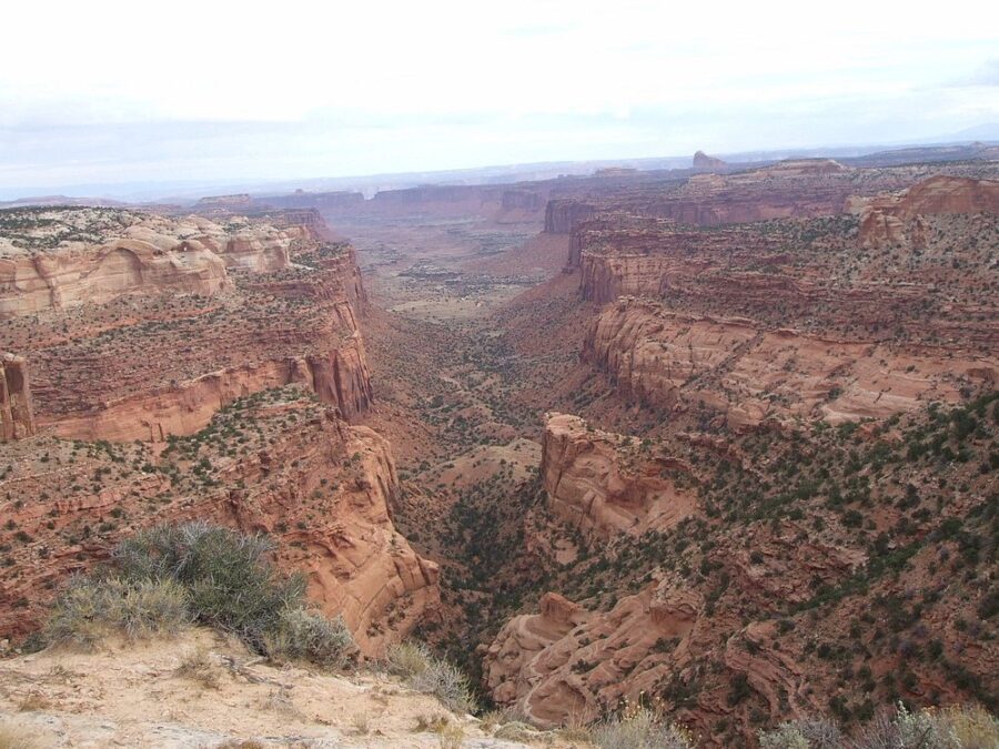 Scenic overlook of The Maze Canyonlands National Park, revealing deep canyons and dramatic rock formations from a mountain peak.