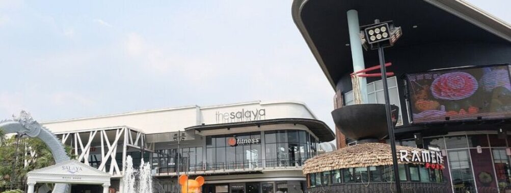 THE SALAYA LEISURE PARK