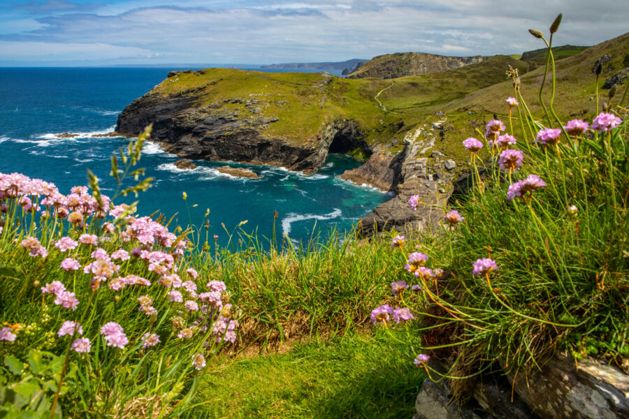 Scenic view from Tintagel Castle, showcasing the rugged coastline and lush greenery of Cornwall, England.
