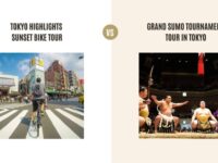 Tokyo Highlights Sunset Bike Tour vs Grand Sumo Tournament Tour in Tokyo: Which Tour is Better?