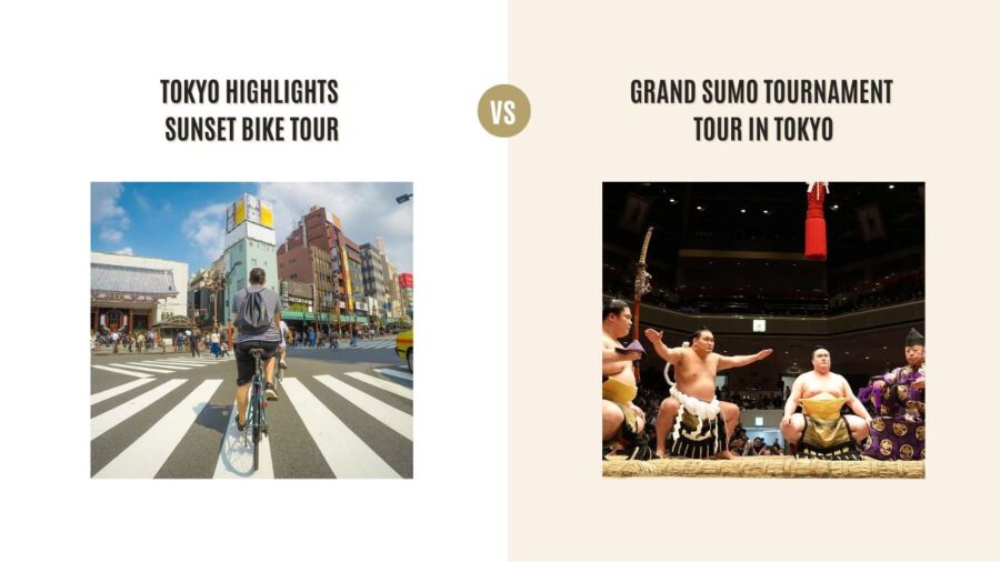Tokyo Highlights Sunset Bike Tour vs Grand Sumo Tournament Tour in Tokyo: Which Tour is Better?