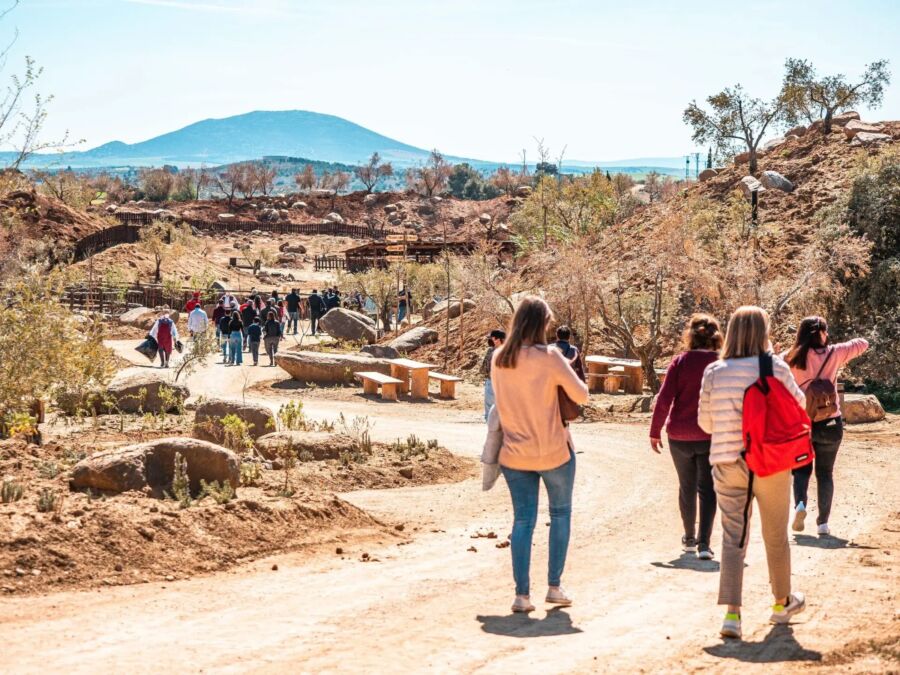 Group of people walk along a sunny, winding path in a dry, rocky landscape with scattered trees and distant hills, conveying a sense of exploration in Toledo.
