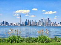 Toronto skyline with CN Tower, lake, and vibrant flowers on a clear, sunny day.