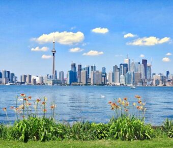 Toronto skyline with CN Tower, lake, and vibrant flowers on a clear, sunny day.