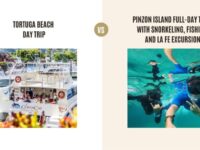 Tortuga Beach Day Trip vs Pinzon Island Full-Day Tour with Snorkeling, Fishing and La Fe Excursion: Which Tour Is Better?