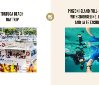 Tortuga Beach Day Trip vs Pinzon Island Full-Day Tour with Snorkeling, Fishing and La Fe Excursion: Which Tour Is Better?