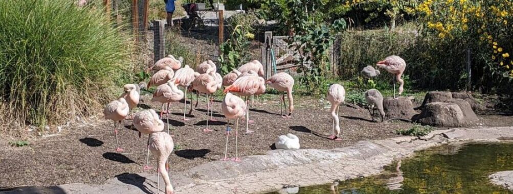 Tracy Aviary & Botanical Gardens