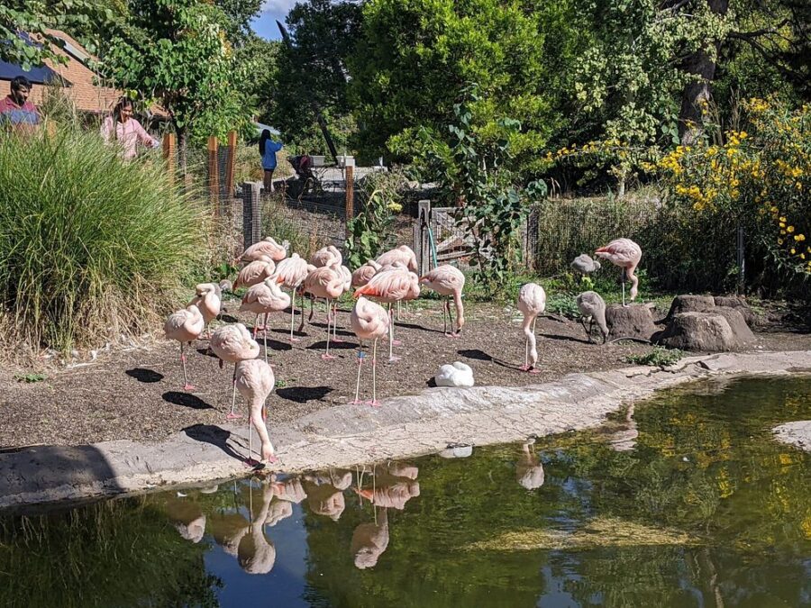 Tracy Aviary & Botanical Gardens