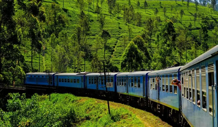 Train winding through lush green hills, with passengers enjoying scenic views and tea plantations.