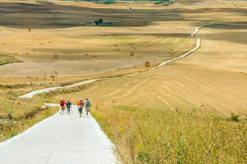 Hikers on a gravel path amidst golden fields and rolling hills in a serene landscape.