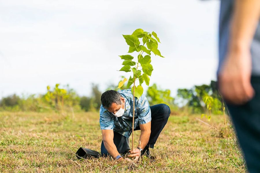 Types of Carbon Offset Projects Supported by Airlines