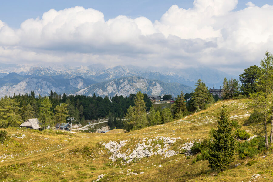 Scenic view of Vogel ski resort in Triglav National Park, Slovenia, showcasing lush greenery during summertime
