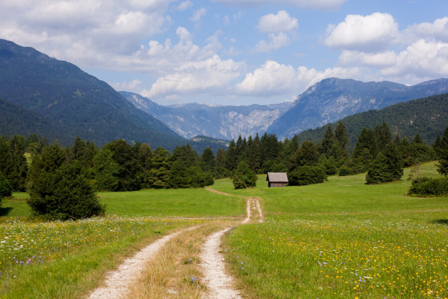 Peaceful mountain path in Triglav National Park, featuring rich vegetation and breathtaking alpine scenery