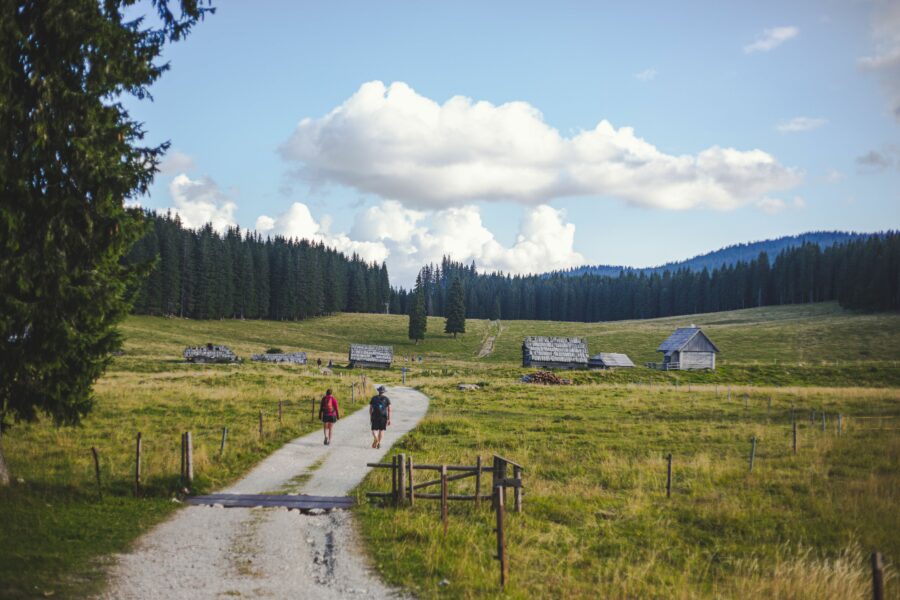 Panoramic view of Triglav National Park, Slovenia, featuring vibrant landscapes and towering peaks from a hiking trail