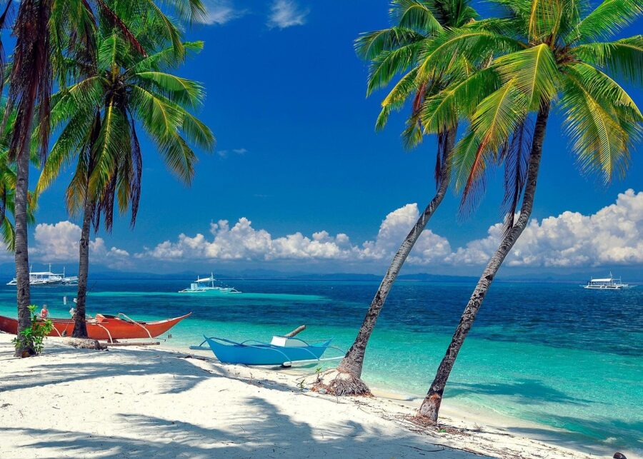 Malapascua tropical beach with leaning palm trees, colorful outrigger boats, and turquoise sea.