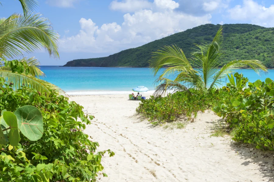 Tropical beach path to Flamenco Beach with palm trees, white sand, turquoise water and umbrella.