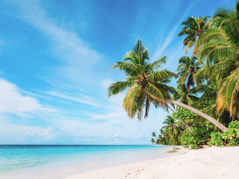 Tropical beach with white sand, palm trees, and turquoise ocean under a clear blue sky.