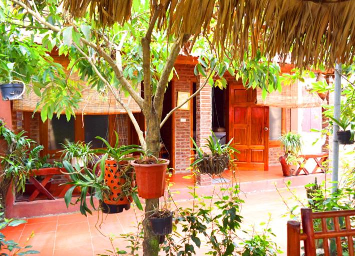 Tropical homestay courtyard with lush plants, hanging pots, rustic brick house and bamboo furniture.