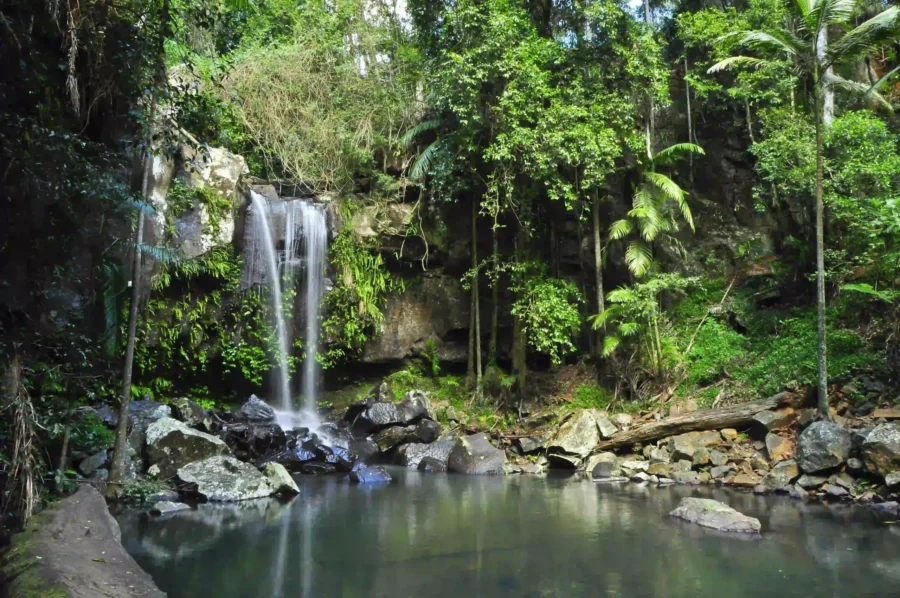 Tropical rainforest waterfall cascading into rocky pool with lush green foliage and mossy boulders.