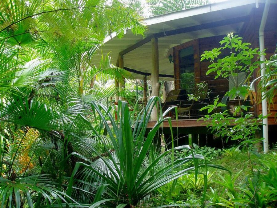 Tropical rainforest cabin retreat with wooden stilt house, lush green jungle foliage, and secluded veranda.