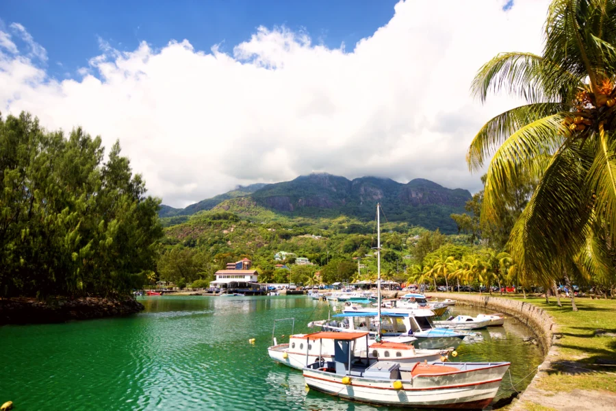 Tropical marina in Victoria with boats, palm trees, emerald water and misty green mountains.