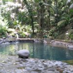 Tropical oasis with pool, waterfall, lush greenery, and serene atmosphere in Hidden Valley Springs.