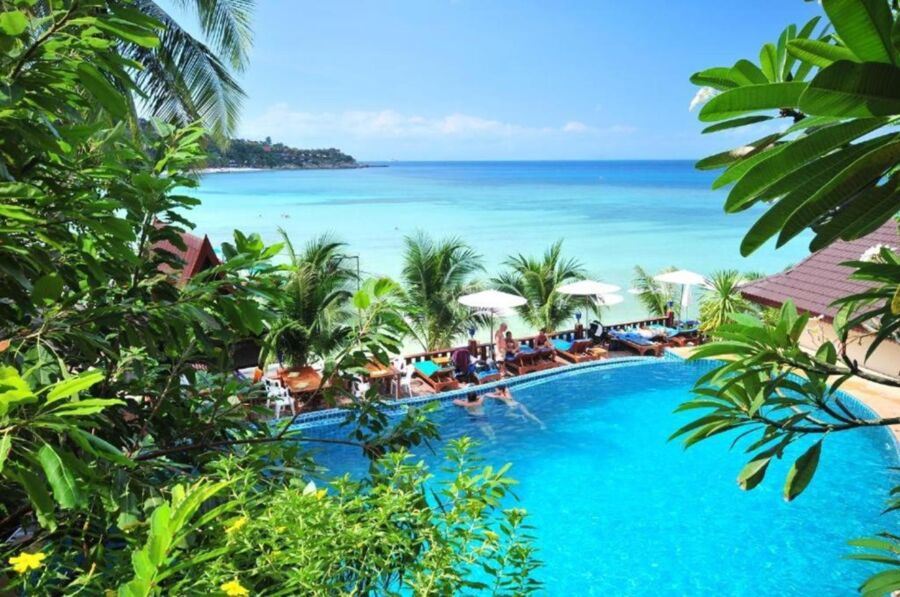 Tropical beach resort view with pool, ocean, palm trees, and vibrant flowers.