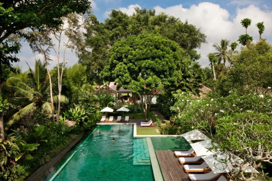 Luxury tropical resort pool with sun loungers, umbrellas, lush greenery and relaxing Ubud jungle views.