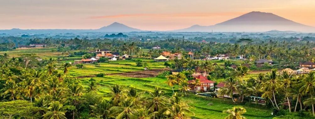 Where to Stay in Ubud: 7 Best Areas & Hotels for Every Budget