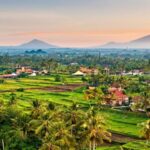 Where to Stay in Ubud: 7 Best Areas & Hotels for Every Budget