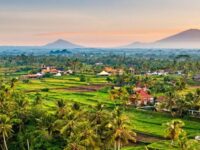 Where to Stay in Ubud: 7 Best Areas & Hotels for Every Budget