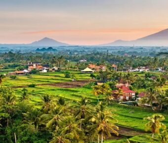 Where to Stay in Ubud: 7 Best Areas & Hotels for Every Budget