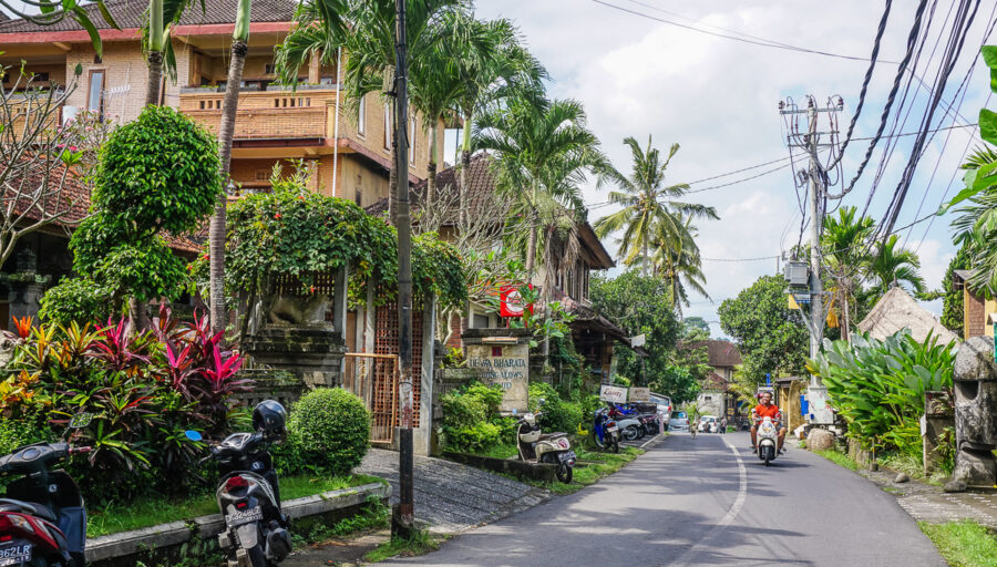Tropical village street in Penestanan with scooters, guesthouses, palm trees, lush greenery, and power lines.