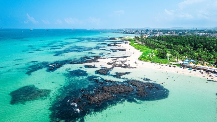 Aerial view of Hyeopjae Beach tropical coastline with turquoise water, volcanic rocks and palm trees.