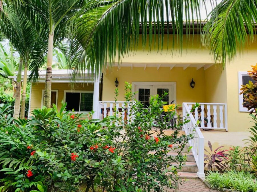 Tropical yellow bungalow with porch, palm trees, lush garden and red flowers in front.