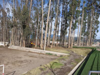 troya Ambato Park Travel Forum Reviews
