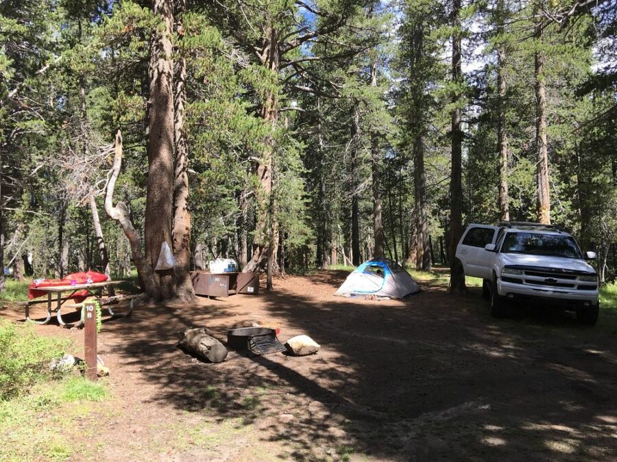 Campsite featuring a truck and a tent surrounded by trees at Tuolumne Meadows Campground, Yosemite National Park.